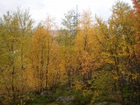 /album/fotogalereya/p9060993-jpg/